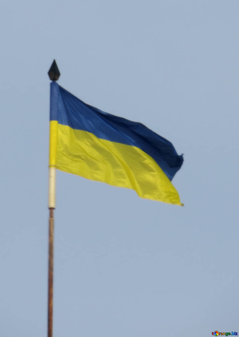 Yellow-blue flag №15726