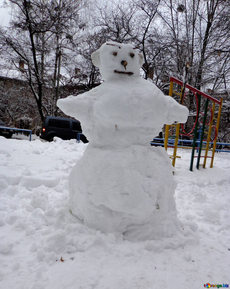 Snowman №15653