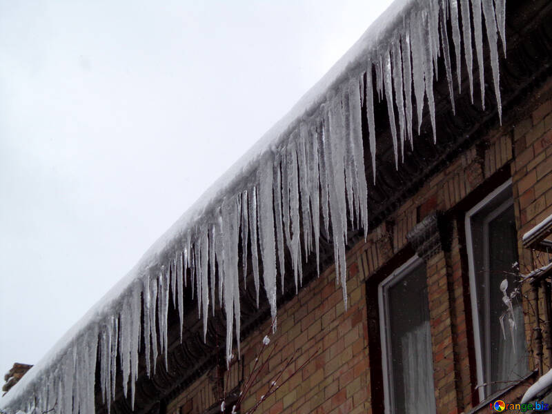 Icicles №15595