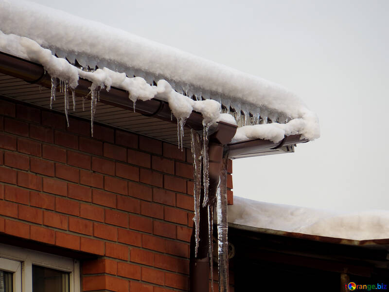 Icicles on drainpipe №15503