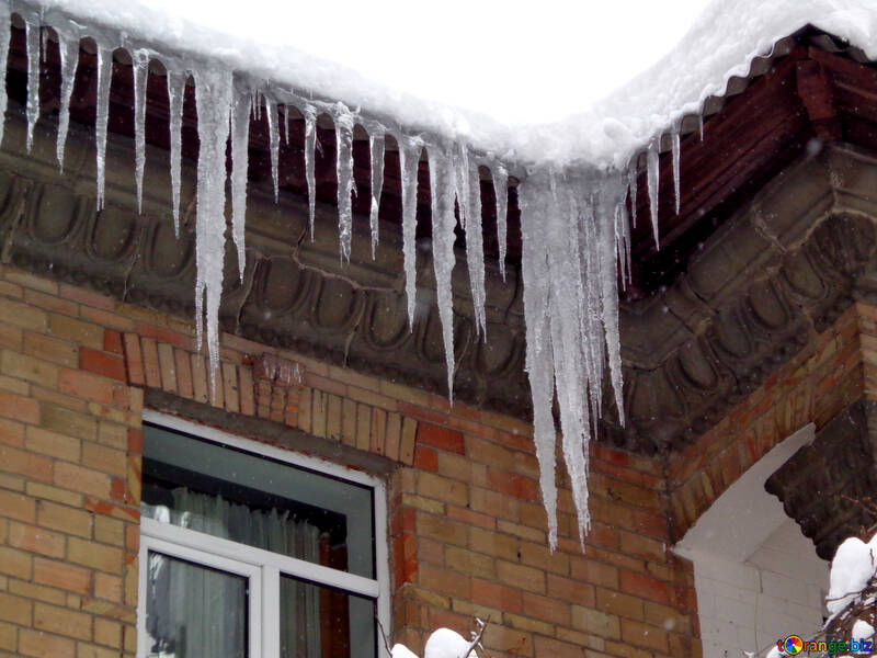 Large icicles №15583
