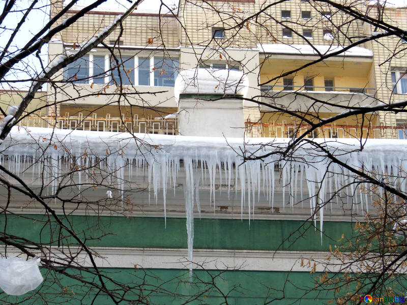 Large icicles №15721