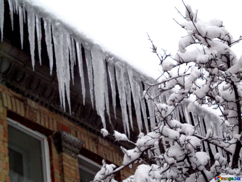 Long icicles on the roof №15591