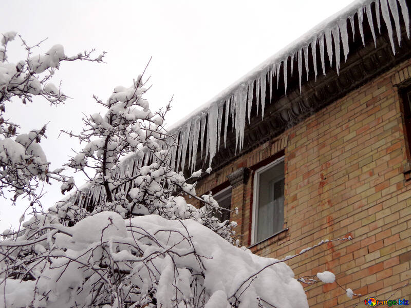 Many icicles on the roof №15592