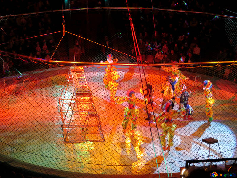 Circus №15841