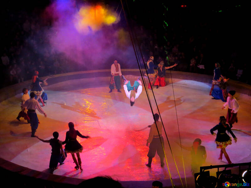 Circus performance №15804