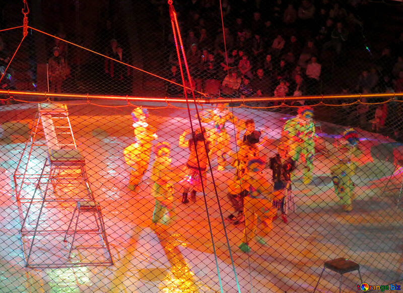 Representation in the circus №15840