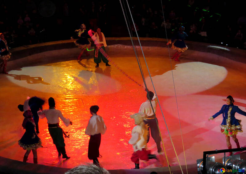 Lo spettacolo al circo №15805