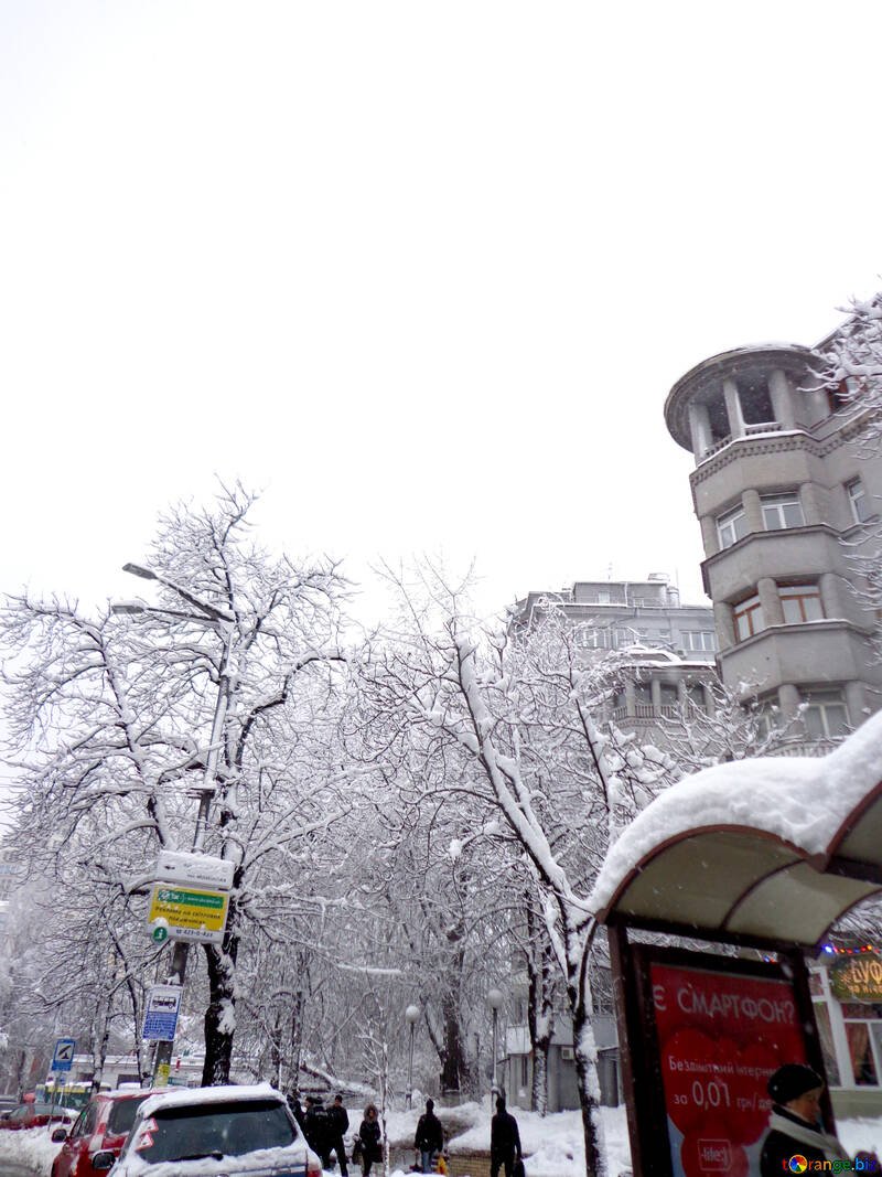 Winter-Stadt №15626