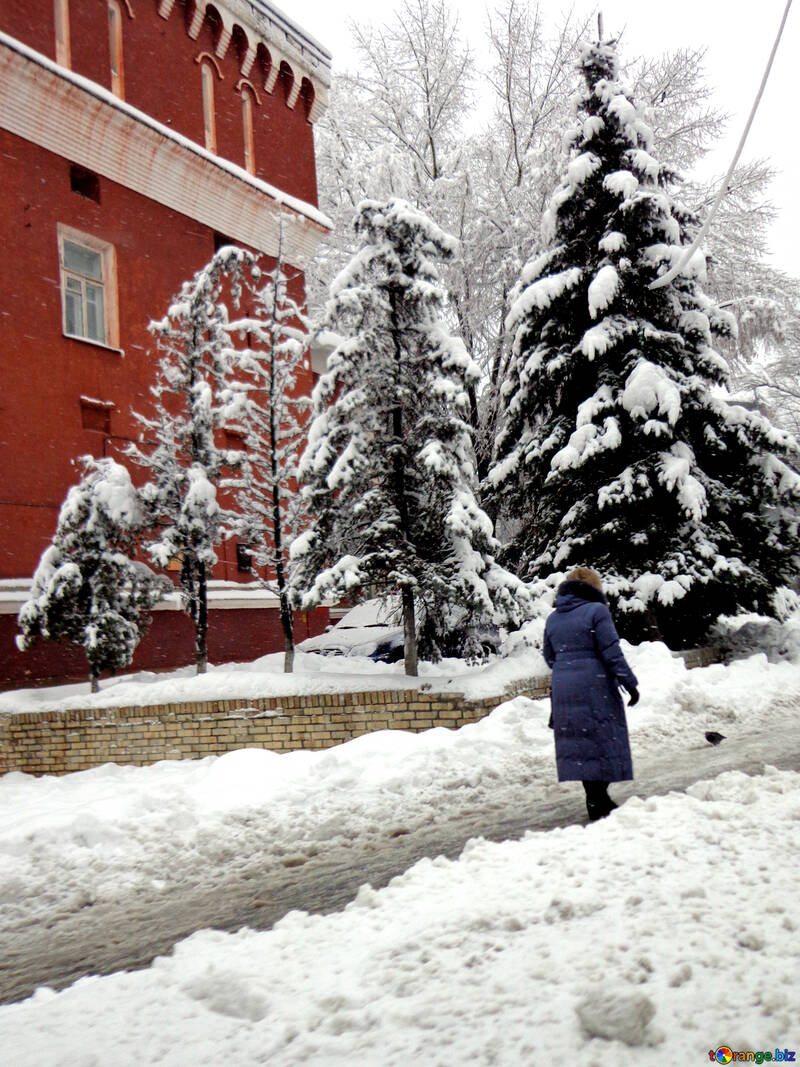 Pedestrians in winter №15614