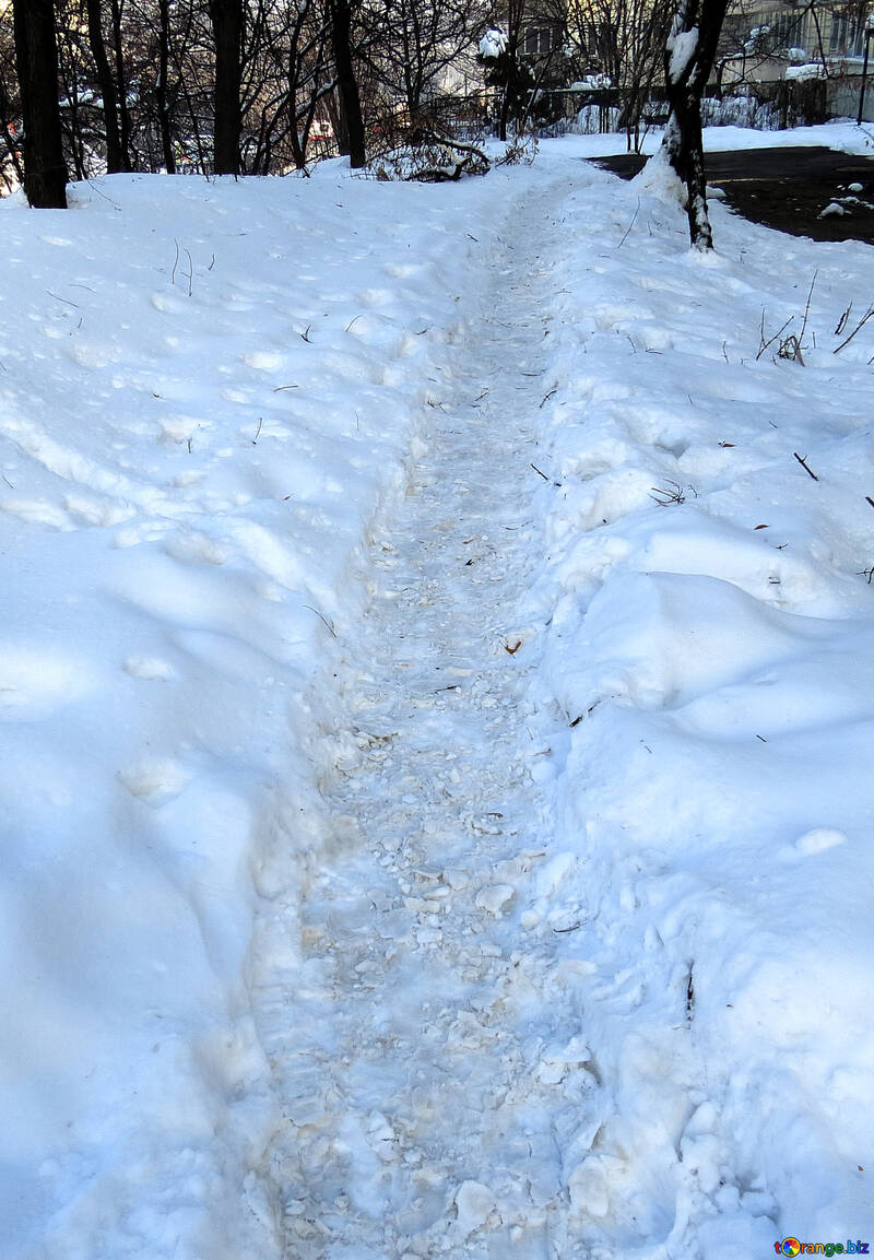 Stretto sentiero nella neve №15733