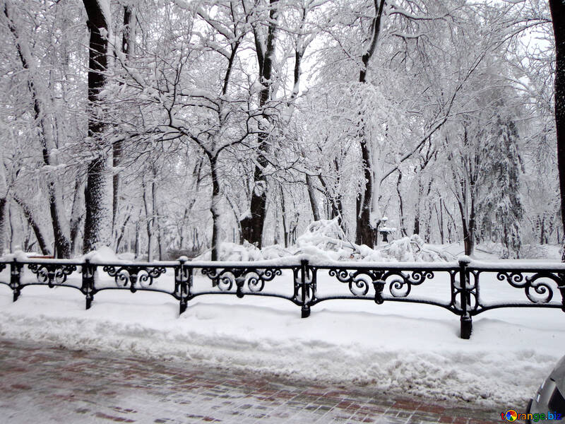 Parque de la ciudad de nieve №15605