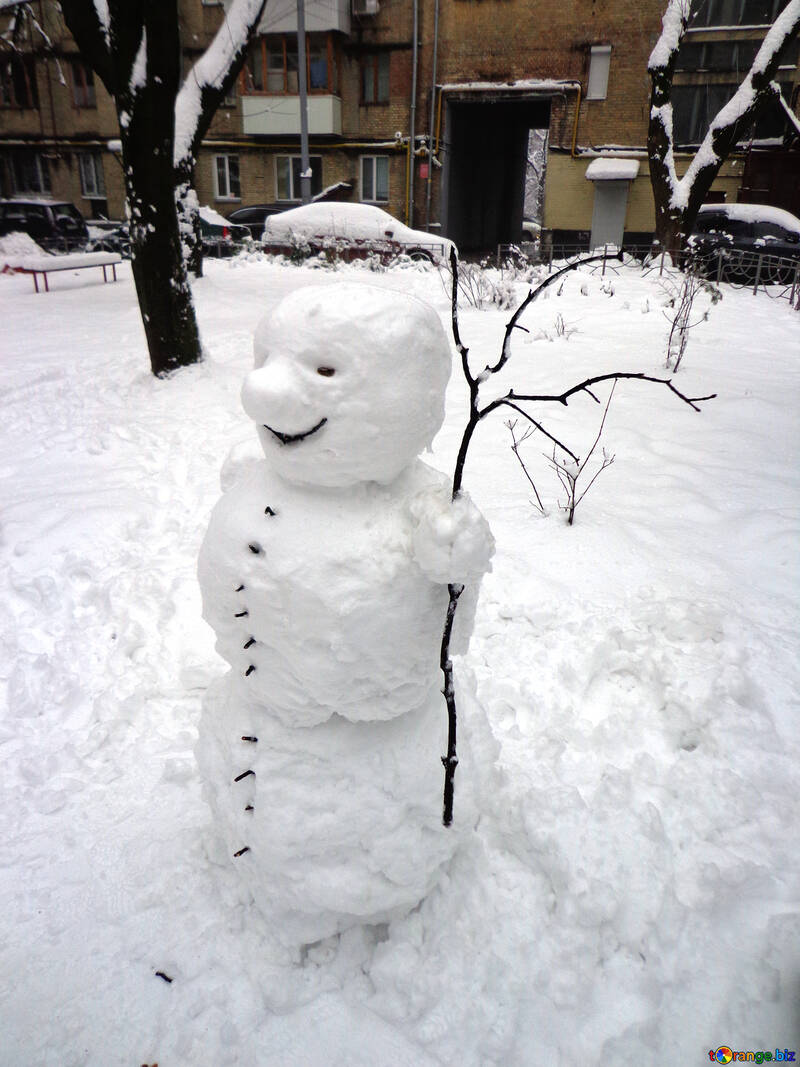 Muñeco de nieve №15494