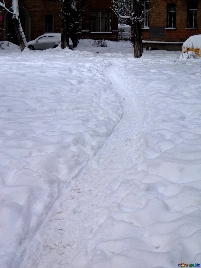Le chemin dans la neige №15586