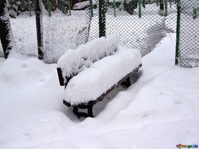 Bench under the snow №15565