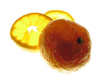 Citrus №16636