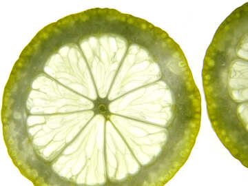 Limones №16160