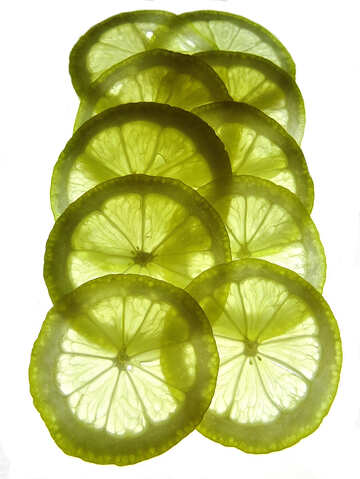 Rodajas de limón №16142