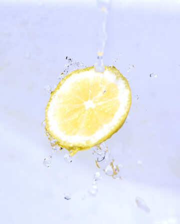 Яскравий лимон №16178