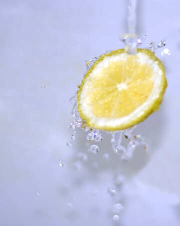 Juicy lemon №16177
