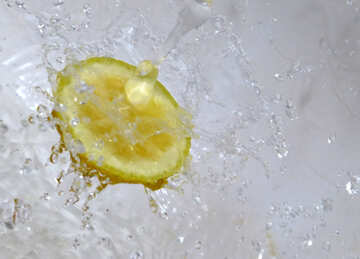 Squirt lemon №16116