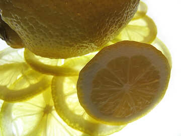 Saftige Zitrone №16135