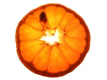 Mandarino sfondo alla luce №16640