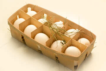 Egg packaging design №16487