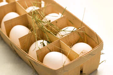 Курячі яйця №16490