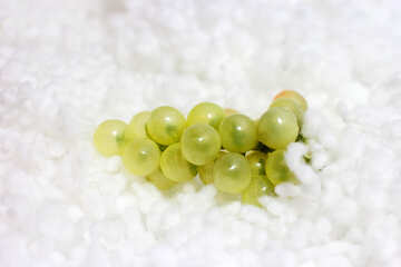 Grapes in the snow №16048