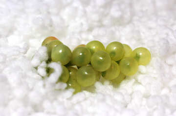 Grapes in the snow №16049