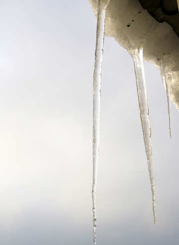 Icicles №16621