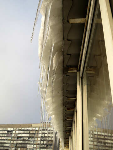 Large icicles №16619