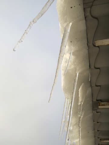 Icicles on the roof №16620