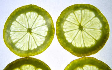 Лимон №16159
