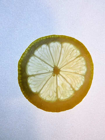 Лимон №16171