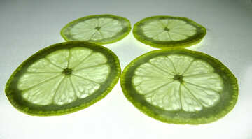Lemon slices №16154