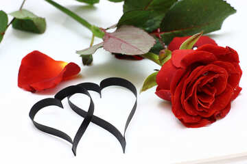 Dos corazones de rosas de papel №16851
