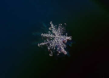 Snowflake №16979