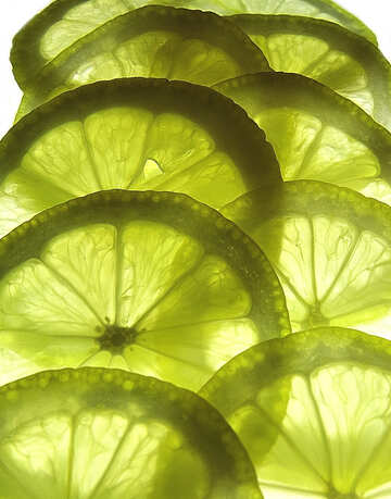 Lemon texture №16139