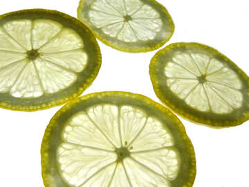 Texture lemon №16163
