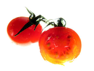 Tomatoes №16694