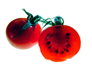Tomatoes №16710