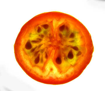 Tomate №16706
