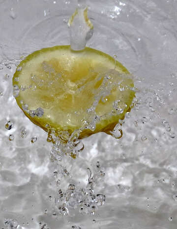 Лимон у воді №16184