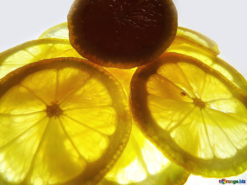 Citrons №16145