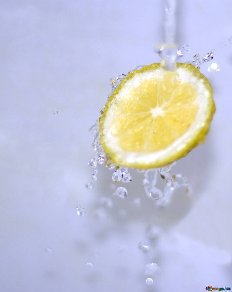 Juicy lemon №16177