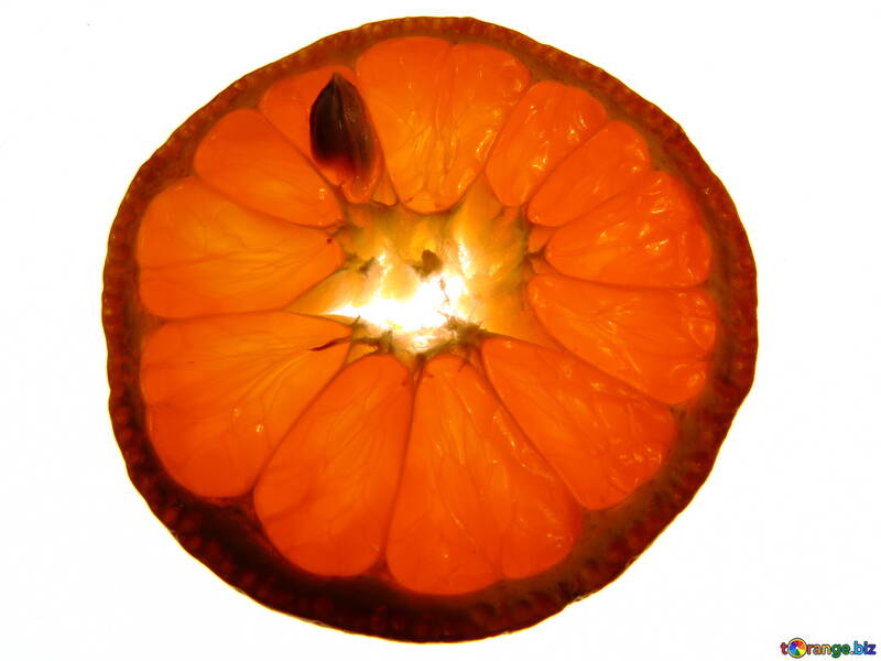 Mandarin.Slice. №16642