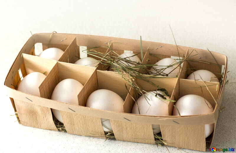 Hen table eggs №16494