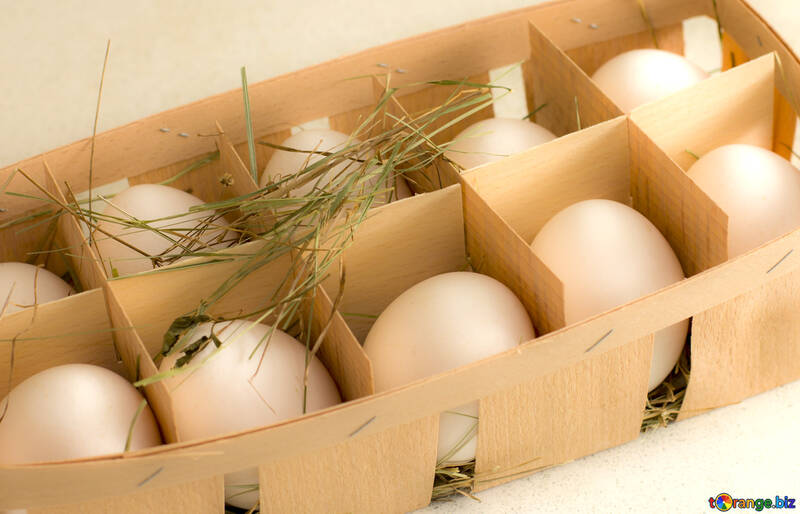 Tray of eggs №16495
